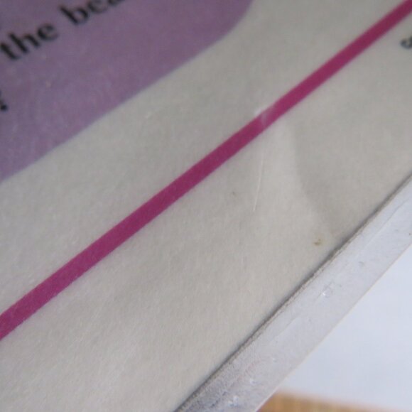 Vintage LUCY RIGGS 1986 Placemat COUNTRY FAIR #8 (professional thick lamination) - Picture 12 of 12